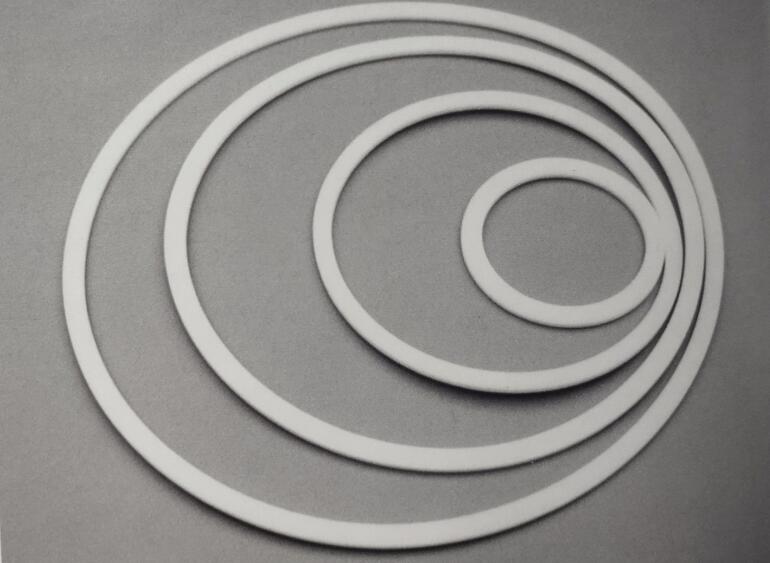 聚四氟乙烯挡圈